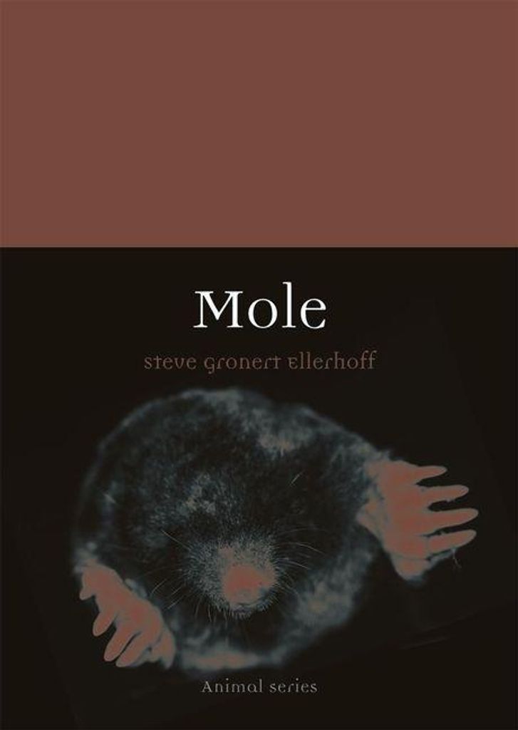 Mole – Lingua: Inglese