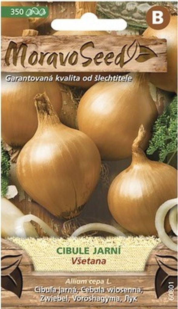 Gelbe Frühlingszwiebeln VŠETANA MoravoSeed