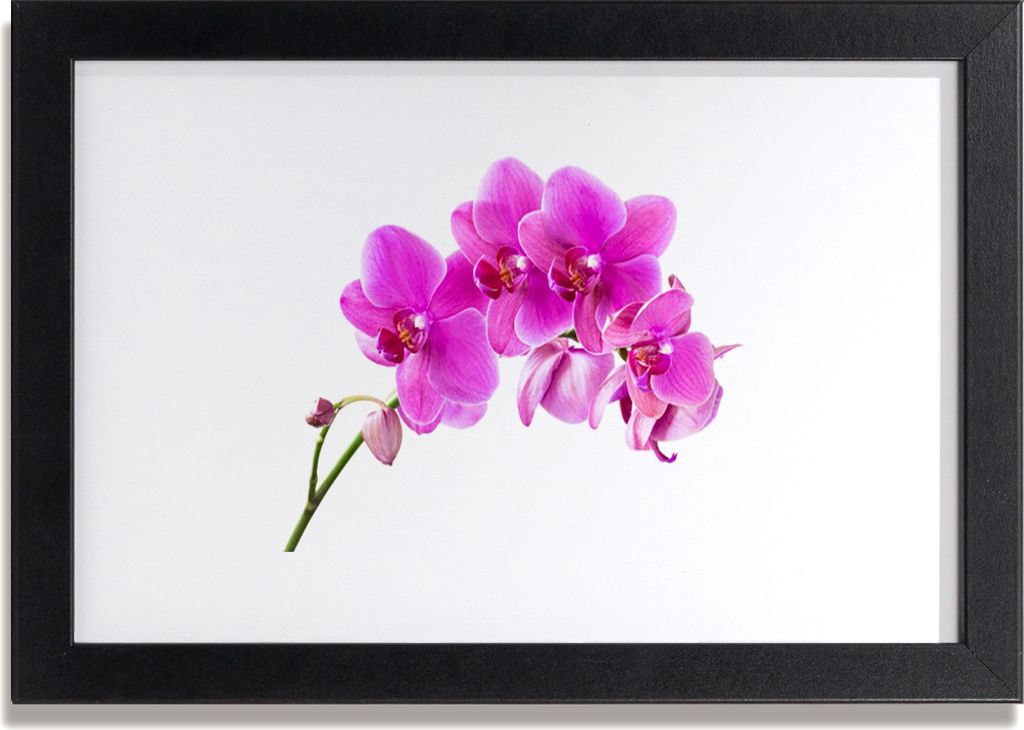 Bild 30x20 MDF-Rahmen Wandkunst Orchid Blume Orchidee