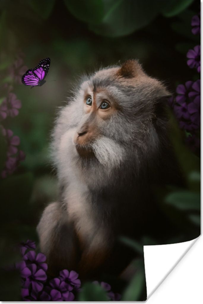 MuchoWow Poster Affe - Dschungel - Schmetterling - Pflanzen 20x30 cm - Papierdruck