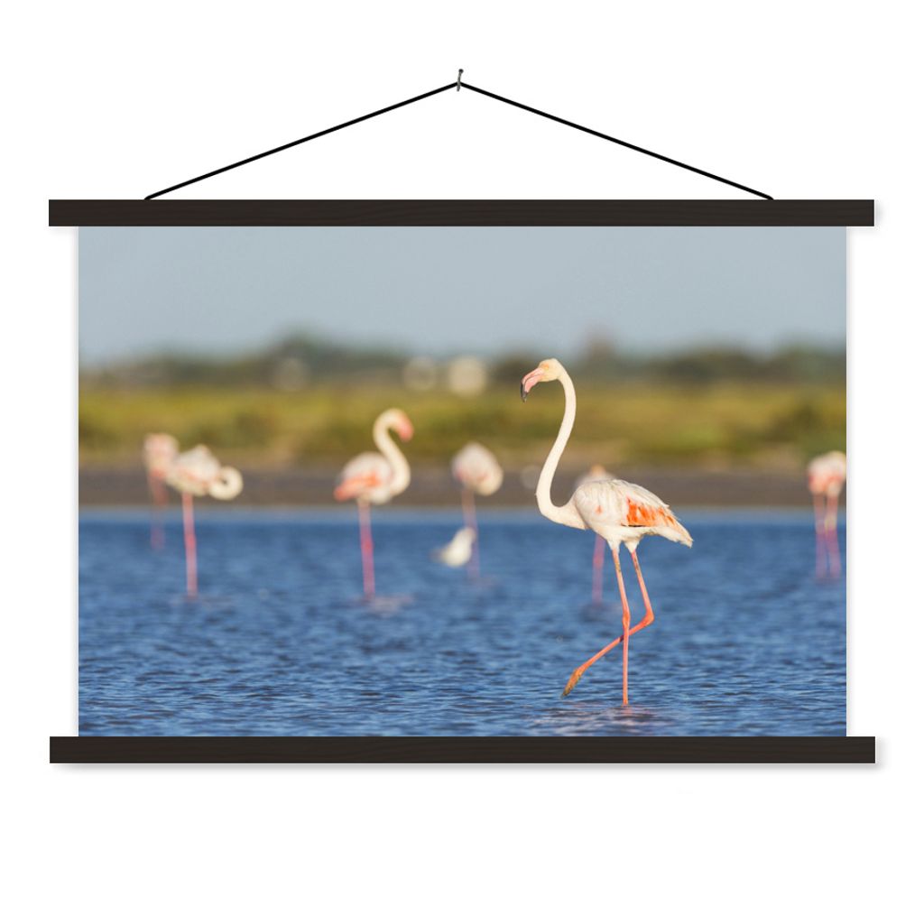 MuchoWow Textilposter Eine Gruppe von Flamingos im Wasser 60x40 cm mit schwarzem Rahmen - Hölzernes
