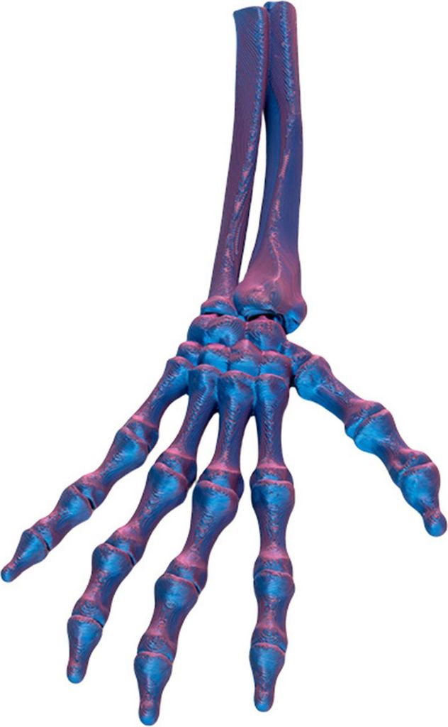 3D-gedruckte Halloween-Skeletthand, realistisch aussehend, weit verbreitet, gefälschte menschliche Hand, Party-Terror, gruselige Requisiten, Dekor...