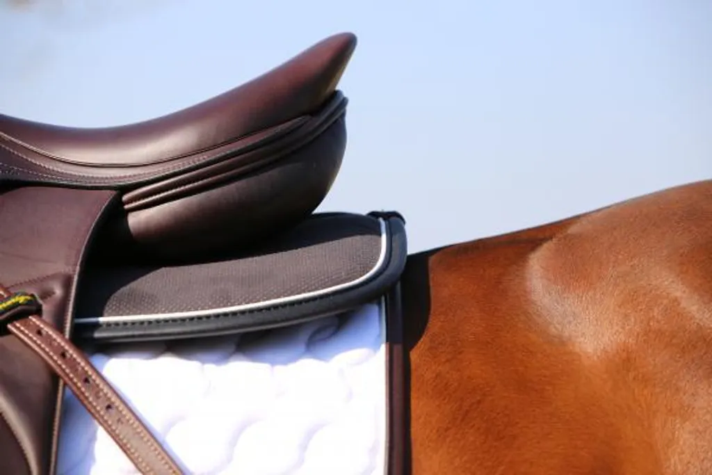 Tapis de selle pour cheval sensible Kentucky Absorb Anatomique Noir