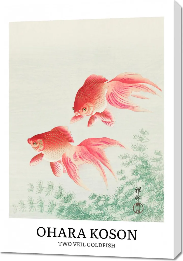 Quadro 70x100 cm Two Veil Goldfish, Koson Vintage per il salone