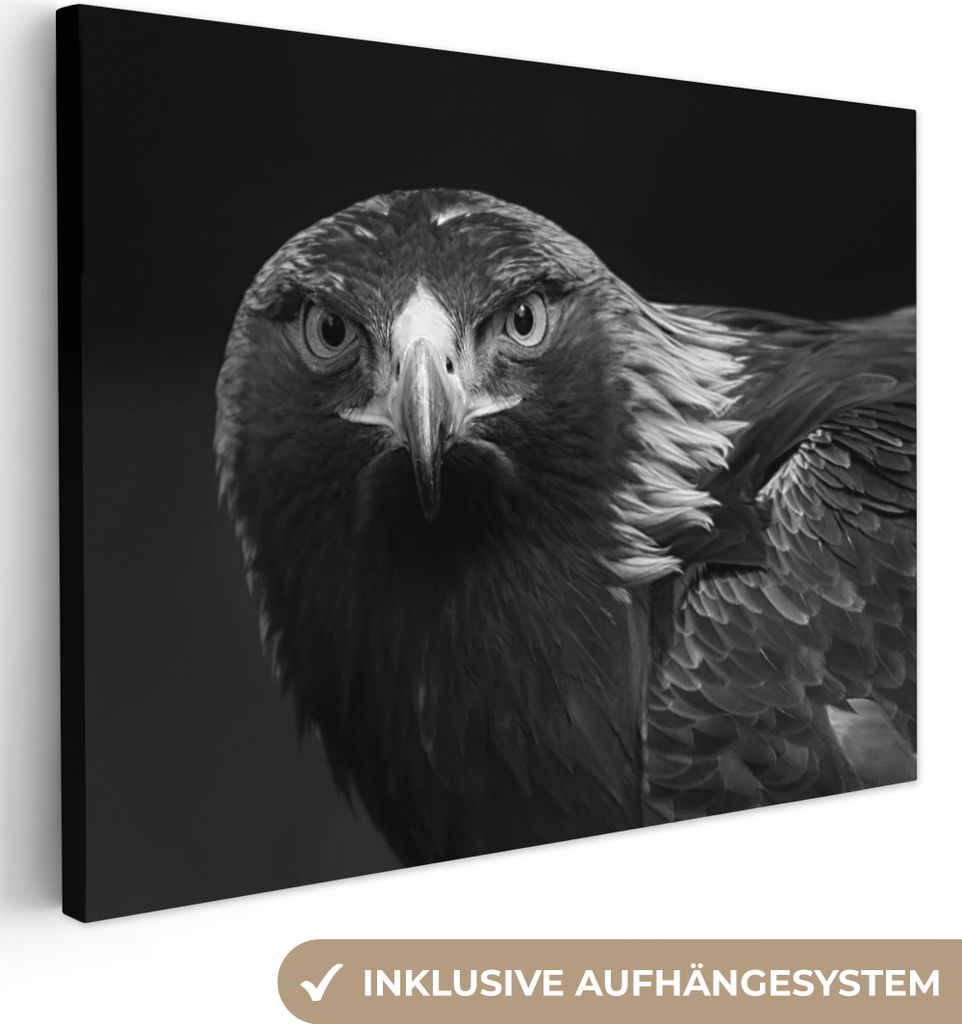 MuchoWow - Leinwandbilder - Bussard - Vogel - Tiere - Schwarz - Weiß, Wandbild, Wanddeko Bilder Wohnzimmer, 120x90 cm