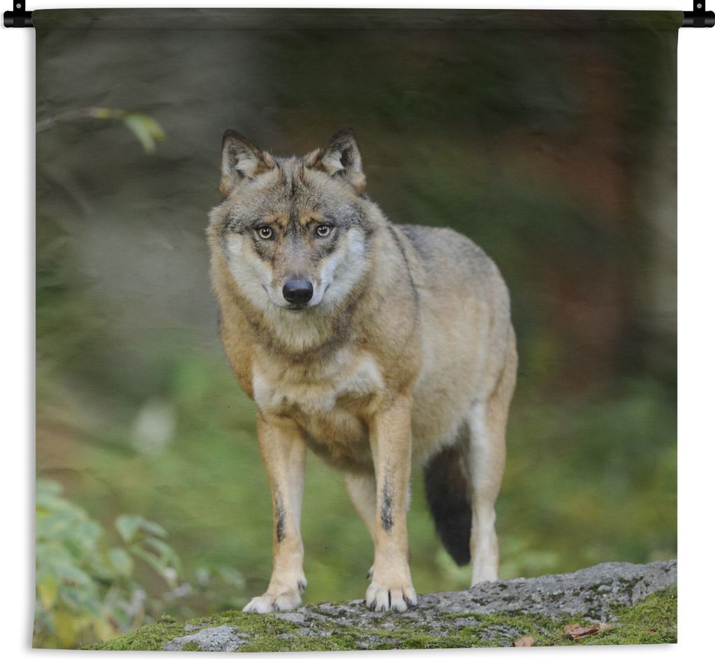 MuchoWow Wandteppich Wandbehang Wolf - Asien - Pflanzen 150x150 cm Tapisserie Dekoration Wandtuch - Wohnaccessoires - Modernes