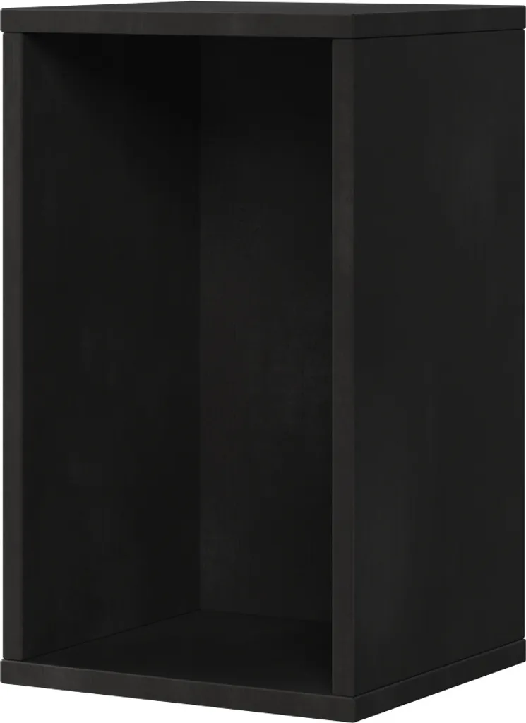 Armoire suspendue MINIO FELIX 11 Noir - Meuble de Rangement 27x45 cm