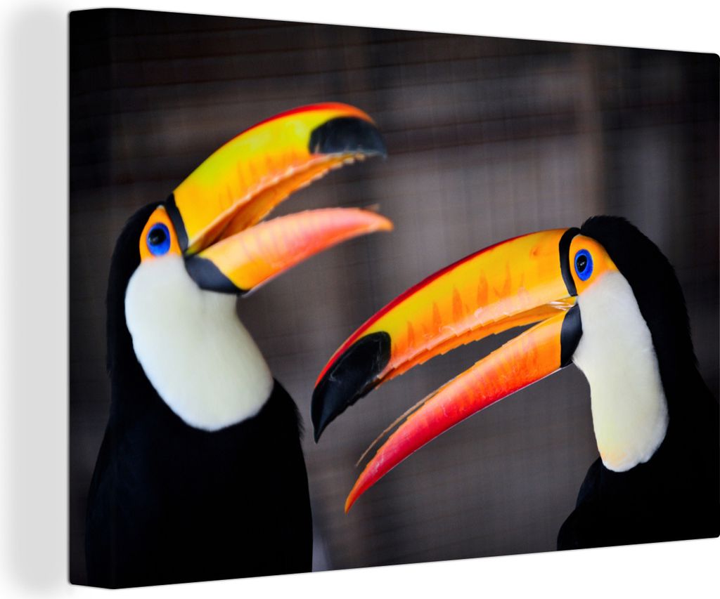 OneMillionCanvasses - Leinwandbilder - 140x90 cm, Eine Nahaufnahme von zwei kommunizierenden Tukanvögeln, Wandbilder Kunstdruck Wanddekoration -...