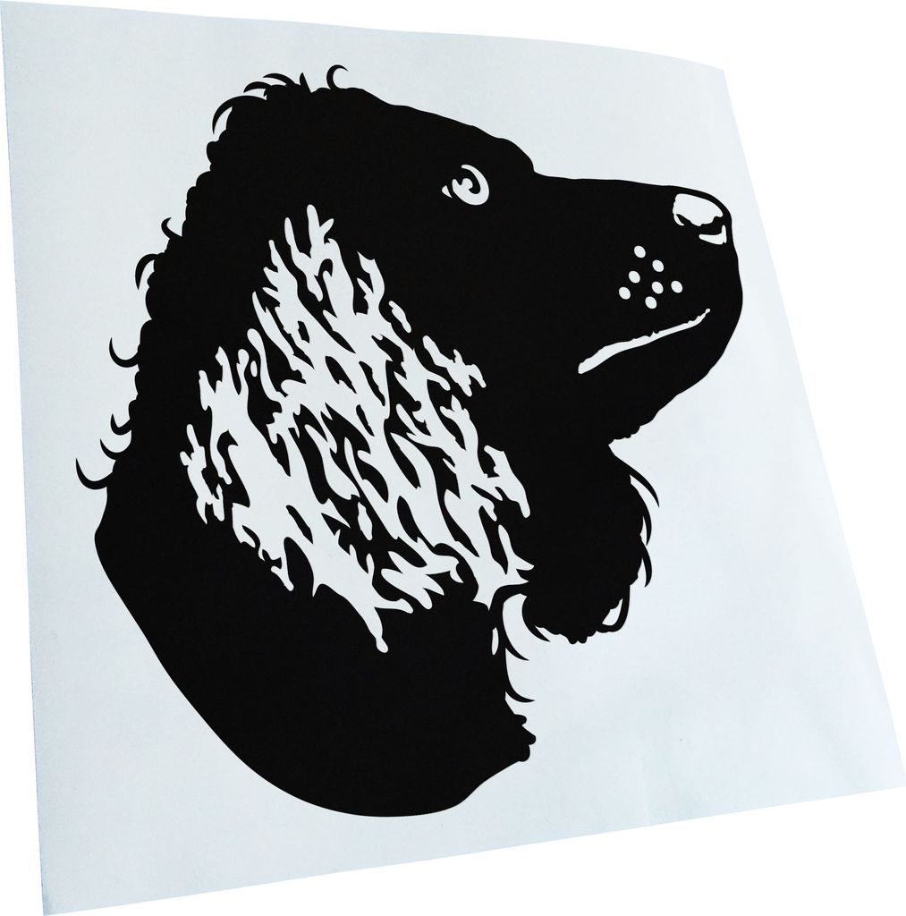 Kiwistar - Autoaufkleber - American Water Spaniel - Schwarz - 40x40cm - Aufkleber für Auto, Laptop, Fahrrad, LKW, Motorrad mehrfarbig JDM Decal Ra...