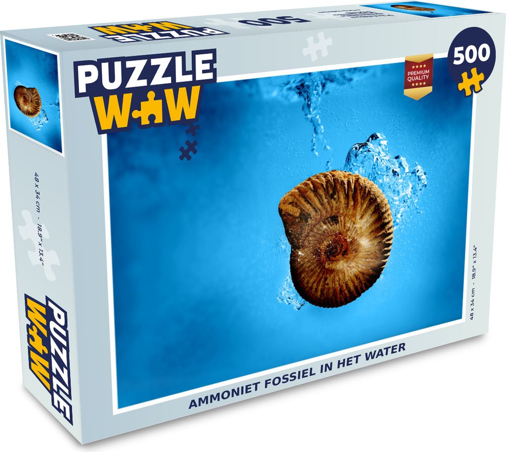 MuchoWow Puzzle 500 Teile Meer - Muscheln - Fossilien - 500 Teile - Kinder - Selberbauen - Puzzlespiele