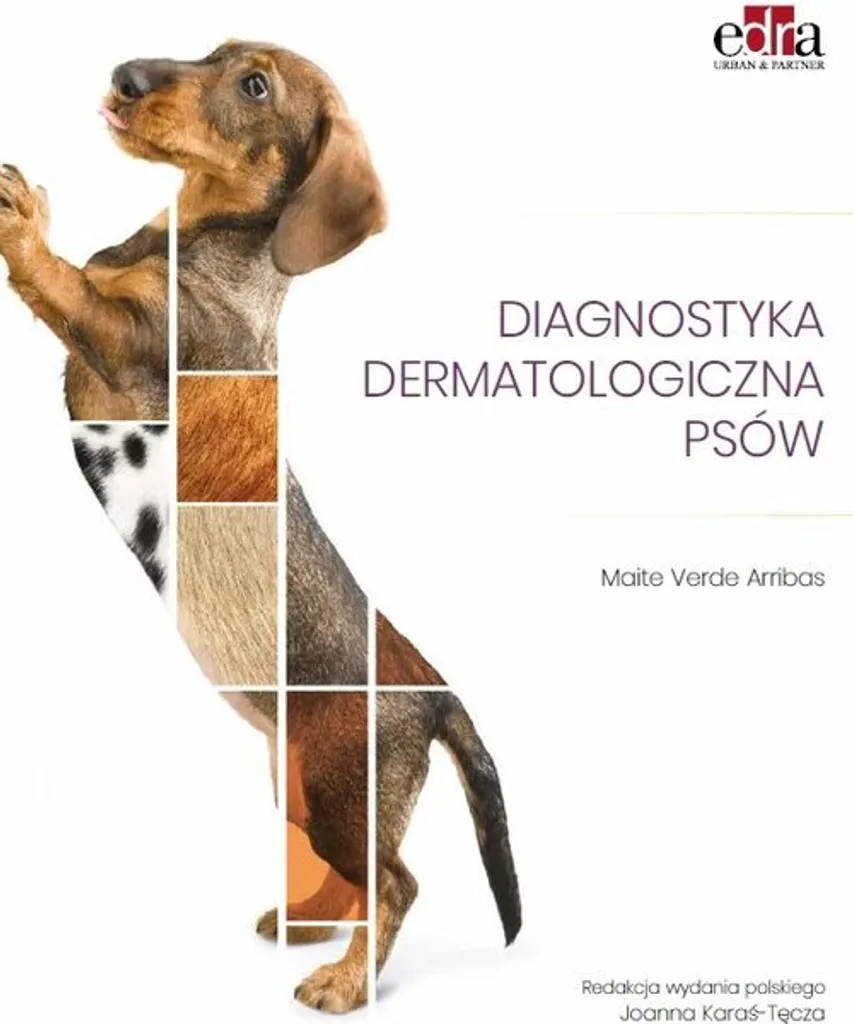 Diagnostic dermatologique canin Arribas : guide technique en polonais