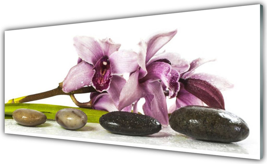 Küchenrückwand aus Glas 125x50cm Spritzschutz Blumen Steine Pflanzen