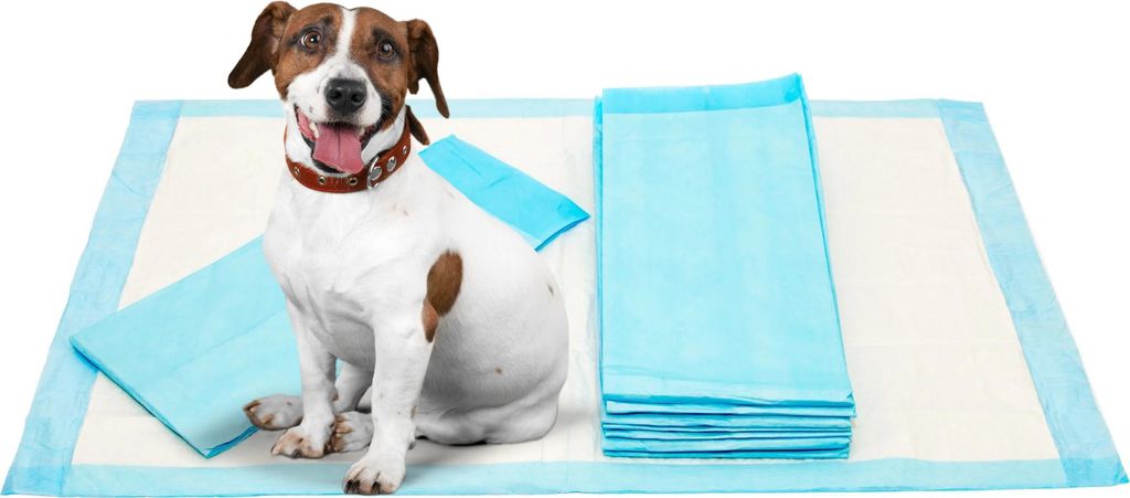 Hygienické tréningové podložky pre psy a mačky - 20 kusov Obrázok produktu 