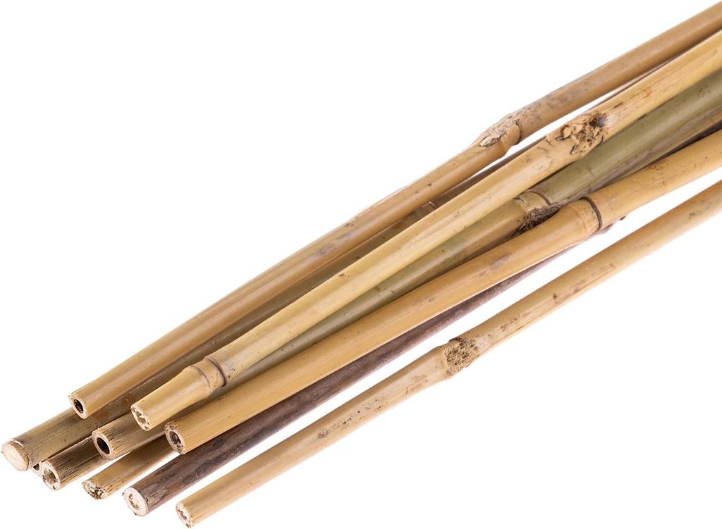 Bambus Pflanzenstützen - Gartenstäbe - Länge 150 cm - Durchmesser 18–20 mm - Menge 10 Stück