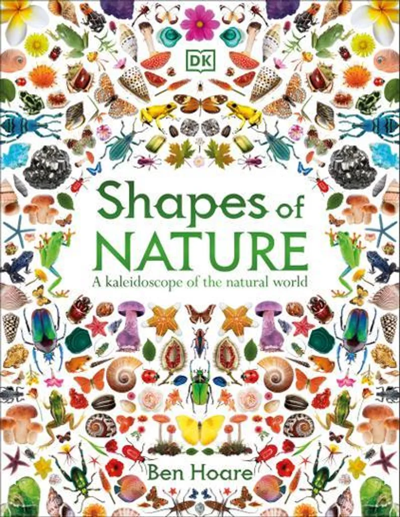 Shapes of Nature - Kit de Décoration Murale en Bois au Design Organique