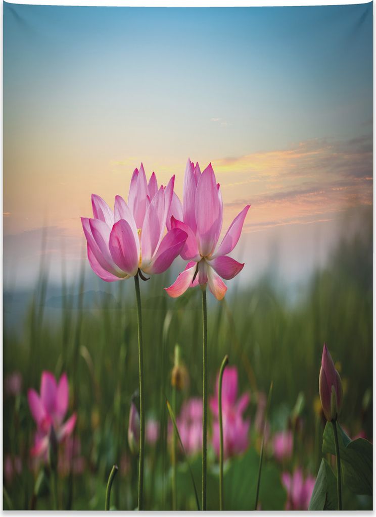 Abakuhaus Lotus Wandteppich, Asiatische Blüten Zen-Garten aus Weiches Mikrofaser Stoff Kein Verblassen Klare Farben Waschbar, 110 x 150 cm, Hellro...