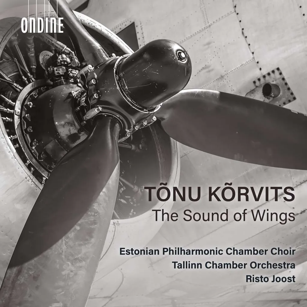 Musique de Relaxation Tonu Korvits Le Son des Ailes pour Écoute au Calme
