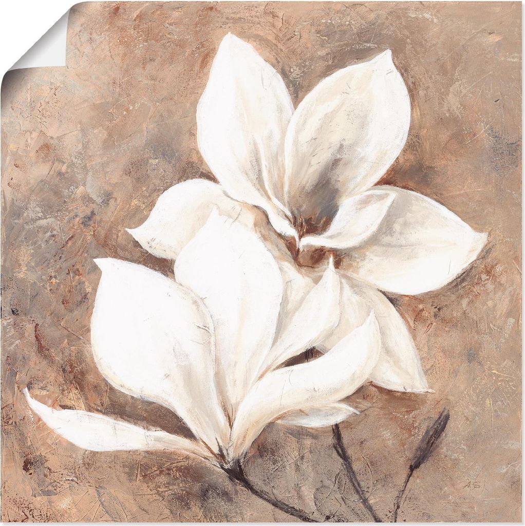 ARTland Poster Klassische Magnolien Größe: 70x70 cm