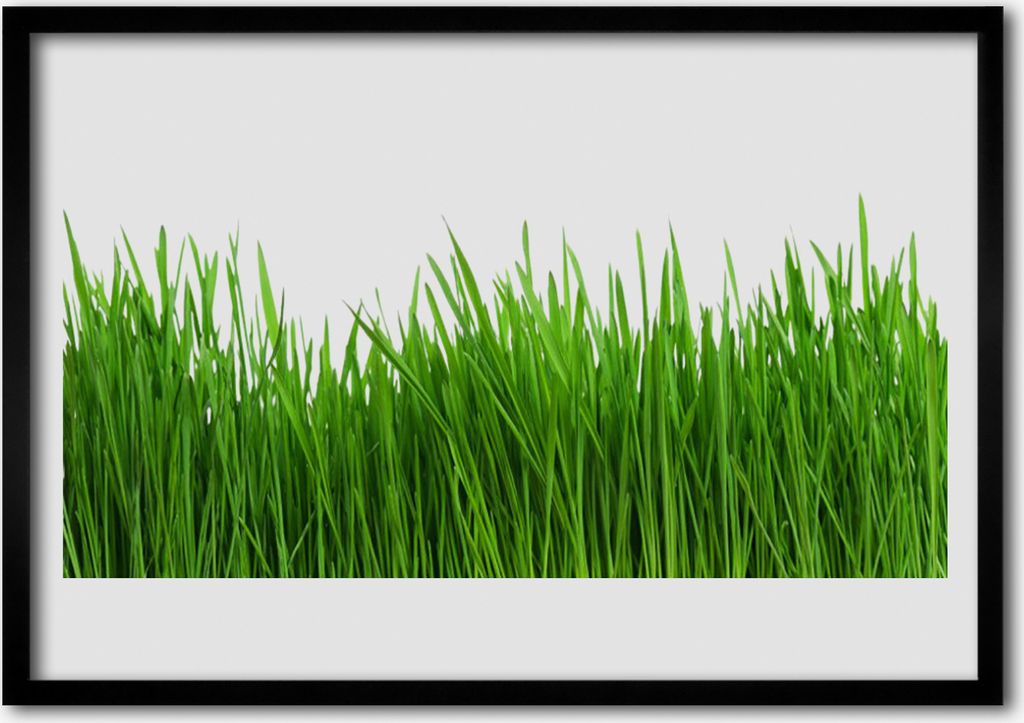 Bild 100x70 MDF-Rahmen Wandkunst Gras Natur Pflanze