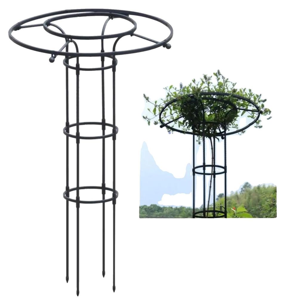 Spalliera da giardino, struttura in metallo, supporto Immagine del prodotto 