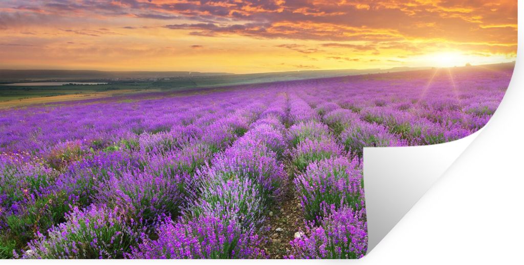 MuchoWow Wandtattoo Wandsticker Wandaufkleber Lavendel - Wolken - Frühling 160x80 cm Selbstklebend und Repositionierbar - Sticker - Dekorfolie