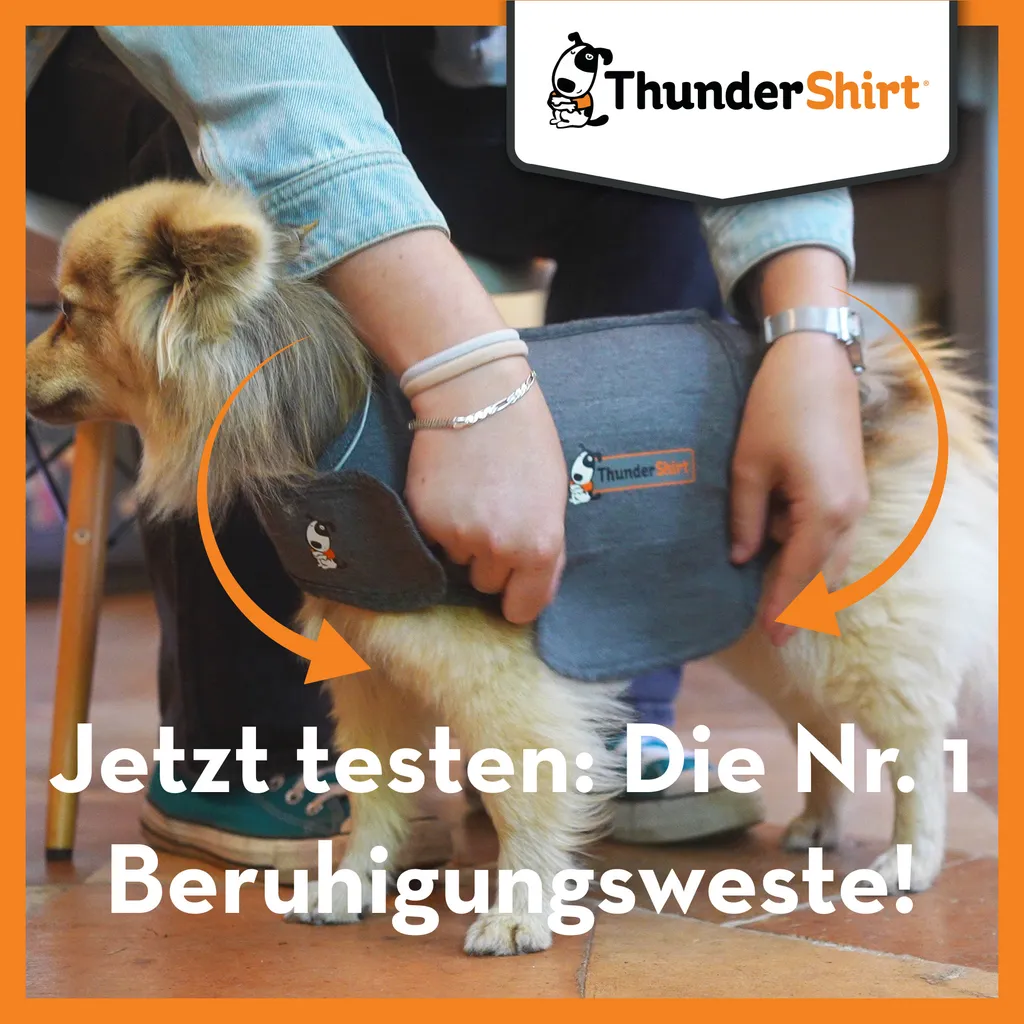 Vêtement de Compression pour Chien ThunderShirt S - Solution Anti-Anxiété