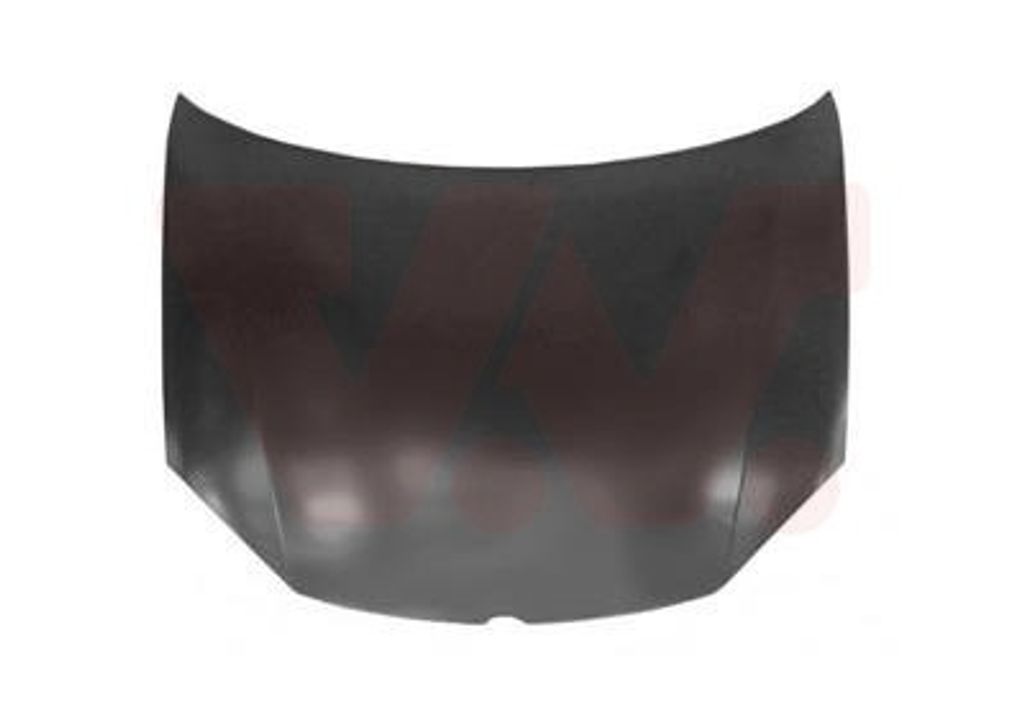 VAN WEZEL 5894660 Motorhaube Vorne
