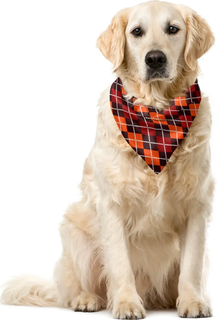 Accessorio Pet ABAKUHAUS Bandana Scozzese Multicolore - Look Autunno