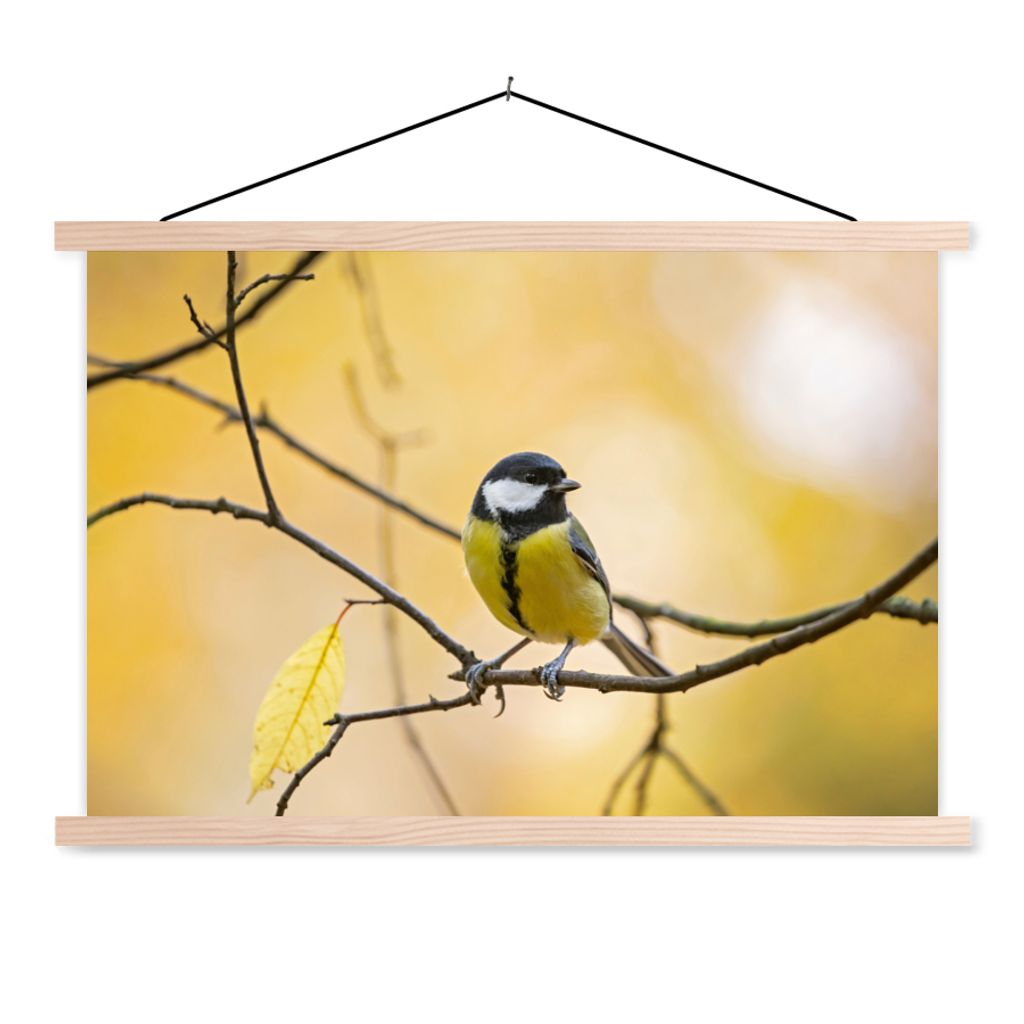 MuchoWow Textilposter Kohlmeise - Zweig - Vogel - Tiere 60x40 cm mit holzfarbenen Rahmen - Bilder