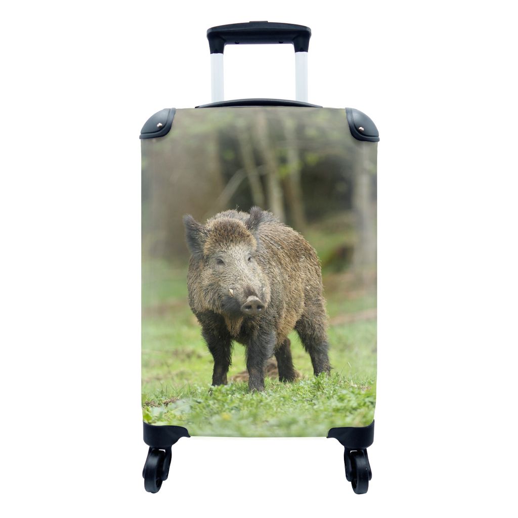 MuchoWow Koffer Handgepäck Trolley Rollkoffer Kleine Reisekoffer mit 4 Rollen - Wildschwein - Tier - Gras - Cabin Size < 55x40x23 cm & 55x40x20 ...