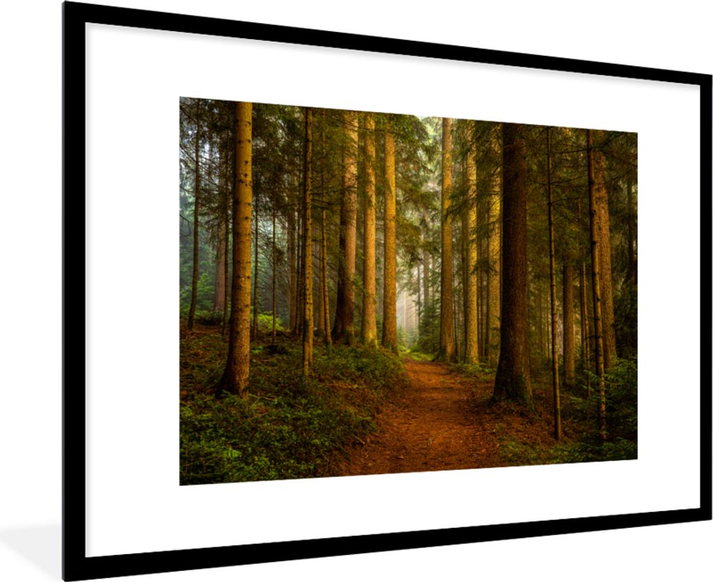 MuchoWow Gerahmtes Poster Wald - Natur - Bäume - Landschaft - Laub 90x60 cm - Poster mit Schwarzem Bilderrahmen Wandposter Rahmen Foto Bilder - ...