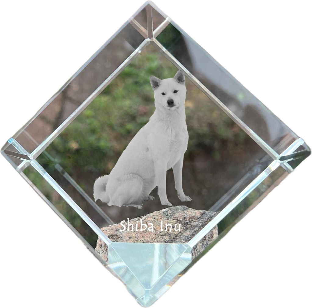 Shiba Inu - Kristallwürfel mit Bild, Pferdebild im Kristall, sechseckiger Papierclip der Marke Art-Dog