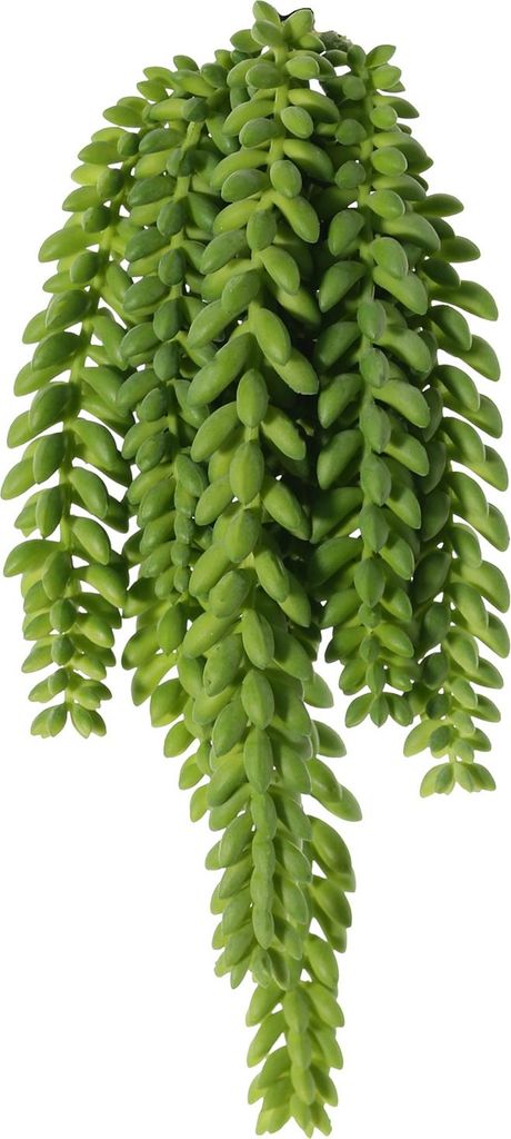 artplants.de Kunst Sedum morganianum Hänger DESPOINA, grün, 30cm - Hängepflanze künstlich