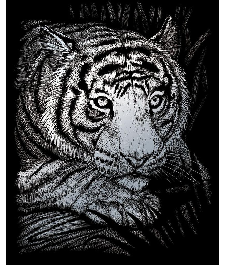 PRACHT Kratzbilder Weißer Tiger silber 20,3x25,4cm