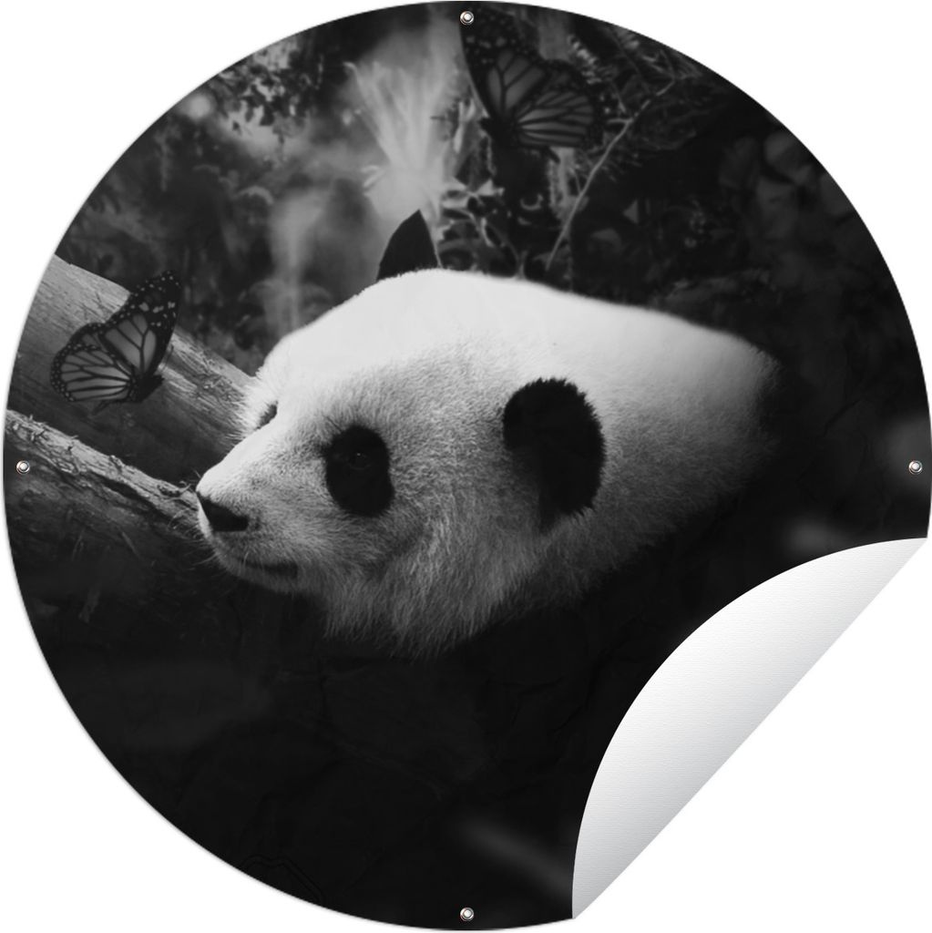 MuchoWow Gartenposter Outdoor-Poster Rund Tiere - Dschungel - Panda - Schwarz - Weiß Ø 60 cm Gartendeko Rundes Poster draußen