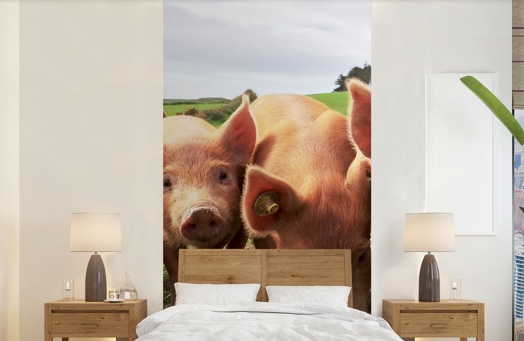 MuchoWow Fototapete für Wohnzimmer oder Schlafzimmer Wandtapete Vinyl Motivtapete Schweine - Groß - Tiere - 120x240 cm - Hintergrundbild