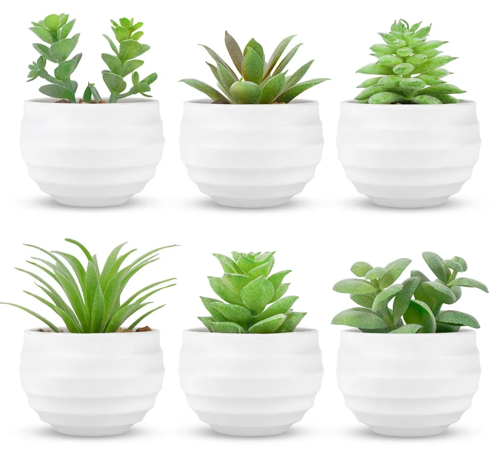 Plantes artificielles de bureau et étagère lot de 6 succulentes déco