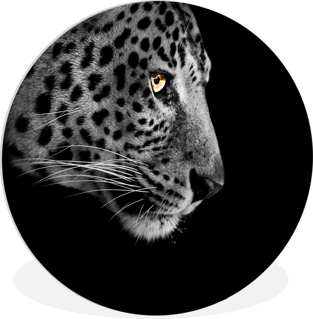 MuchoWow Rundes Wandbild - Runde Bilder Leopard - Schwarz - Weiß Ø 30 cm Kreis Wanddekoration Kunststoff - Wandkreis - Wandschmuck - Schlafzimm...