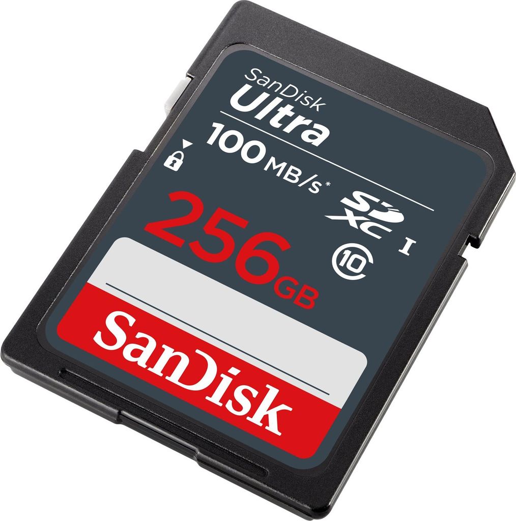 SanDisk Ultra Lite SDXC 256GB 100MB/s SDSDUNR-256G-GN3IN Immagine del prodotto 