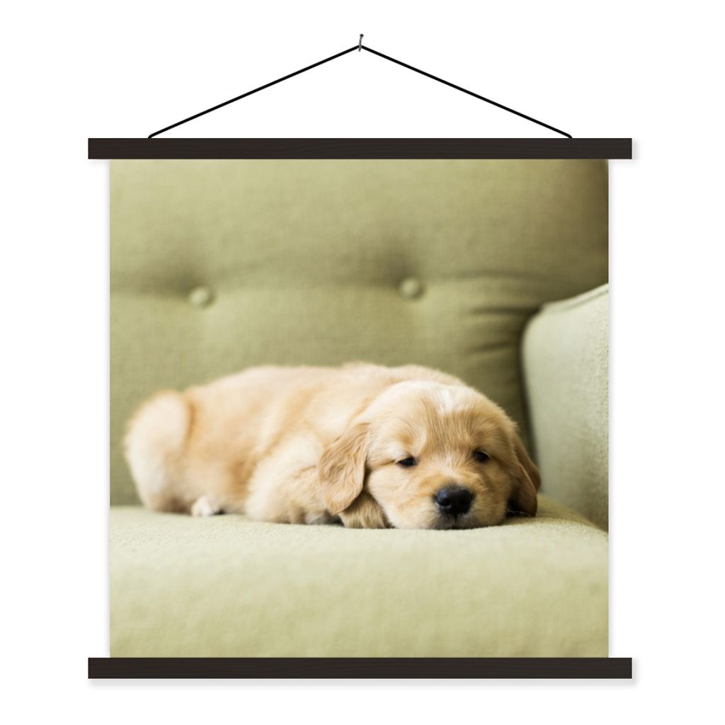 MuchoWow Textilposter Ein schlafender Golden Retriever Welpe auf dem Sofa 40x40 cm mit schwarzem Rahmen - Fotos