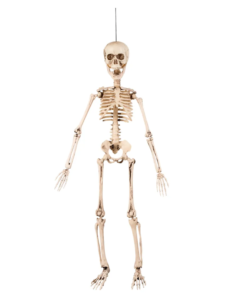 Accessoire décoration Halloween squelette suspendu pour fête et soirée