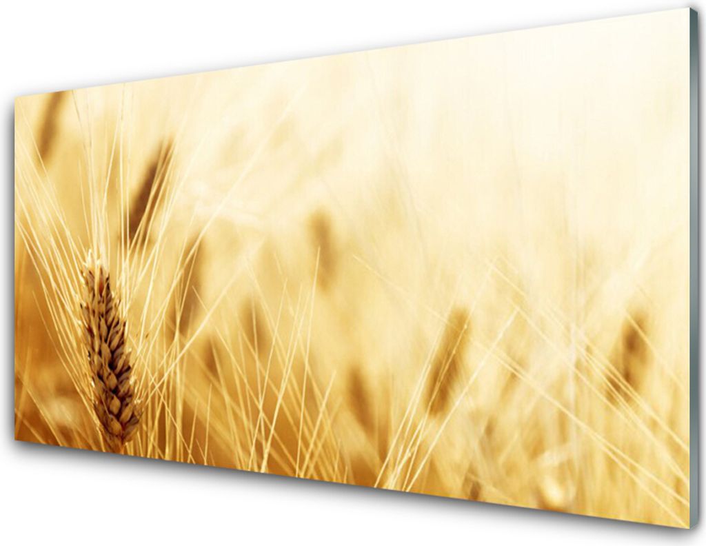 Küchenrückwand aus Glas 100x50cm Spritzschutz Weizen Pflanzen