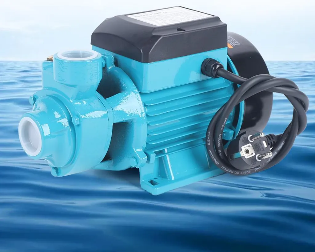 Pompe à eau 370W 220V avec conception à tourbillon efficace débit stable