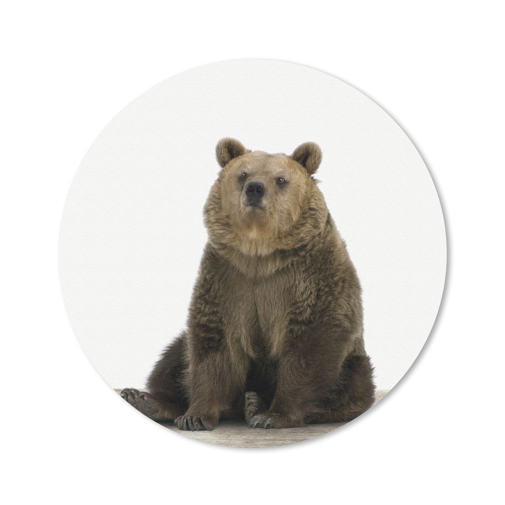 MuchoWow® Mauspad Mousepad Braunbär - Tiere - Bär - Produktbild 