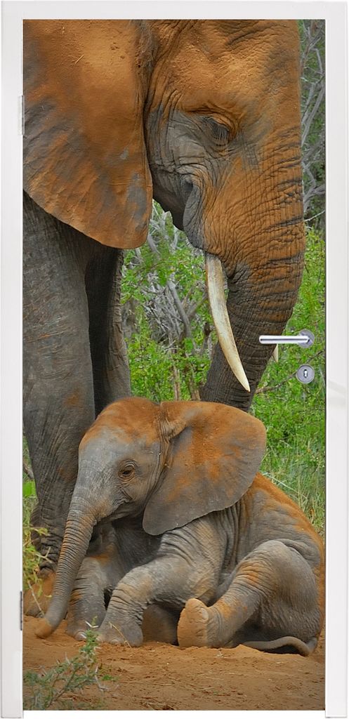 MuchoWow Türtapete Selbstklebende Türfolie Elefantenmutter kümmert sich um ihr Kind 85x215 cm Türposter Türaufkleber Klebefolie Türklebefol...