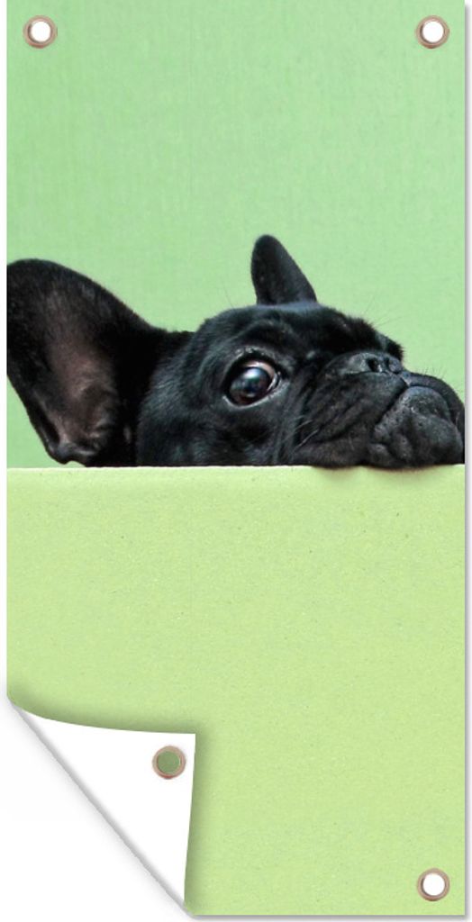 MuchoWow 80x160 cm Outdoor-Poster Gartendeko Sichtschutz Garten Poster für den Garten Französische Bulldogge - Grün - Schwarz