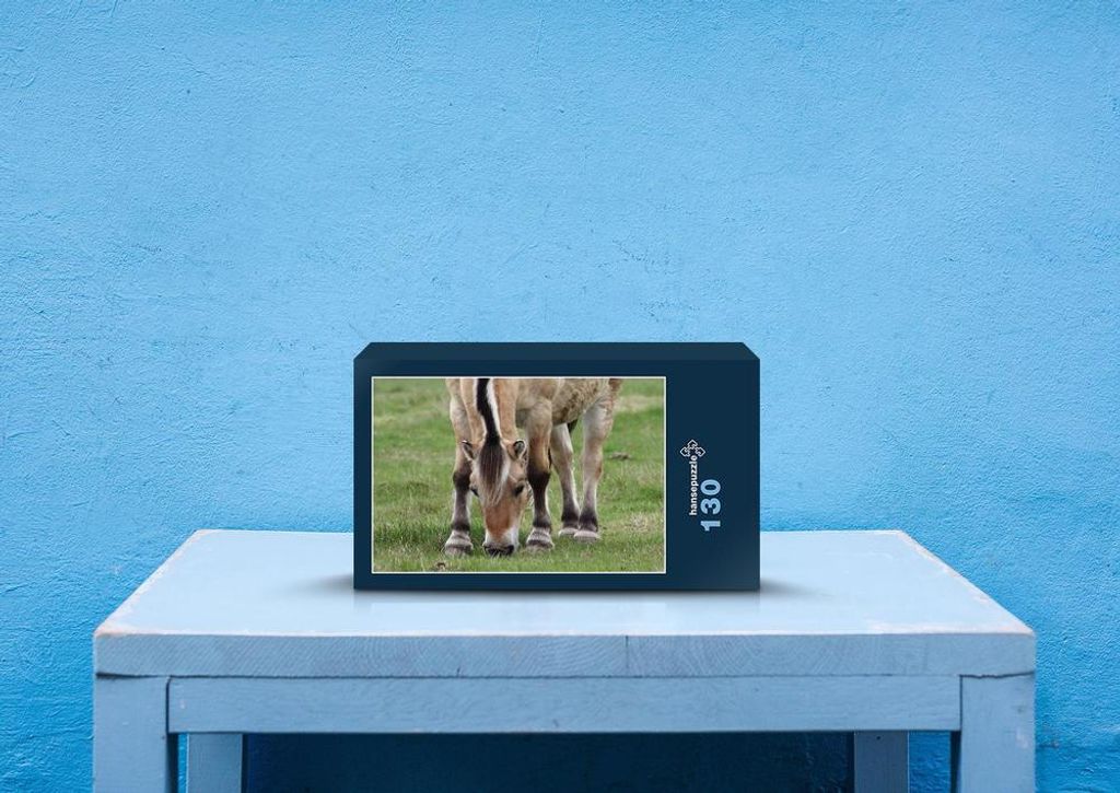 hansepuzzle 72294 - Norwegisches Fjordpferd Puzzle, 130 Teile, Tierwelt, 28,7 x 20,0cm mit hochwertiger Aufbewahrung, Kartonbox & Beutel