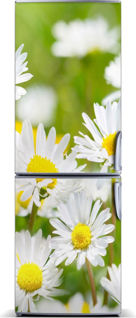 Tulup Kühlschrankdekoration - Magnetmatte - 60 cm x 180 cm - Magnet auf dem Kühlschrank - Gänseblümchen