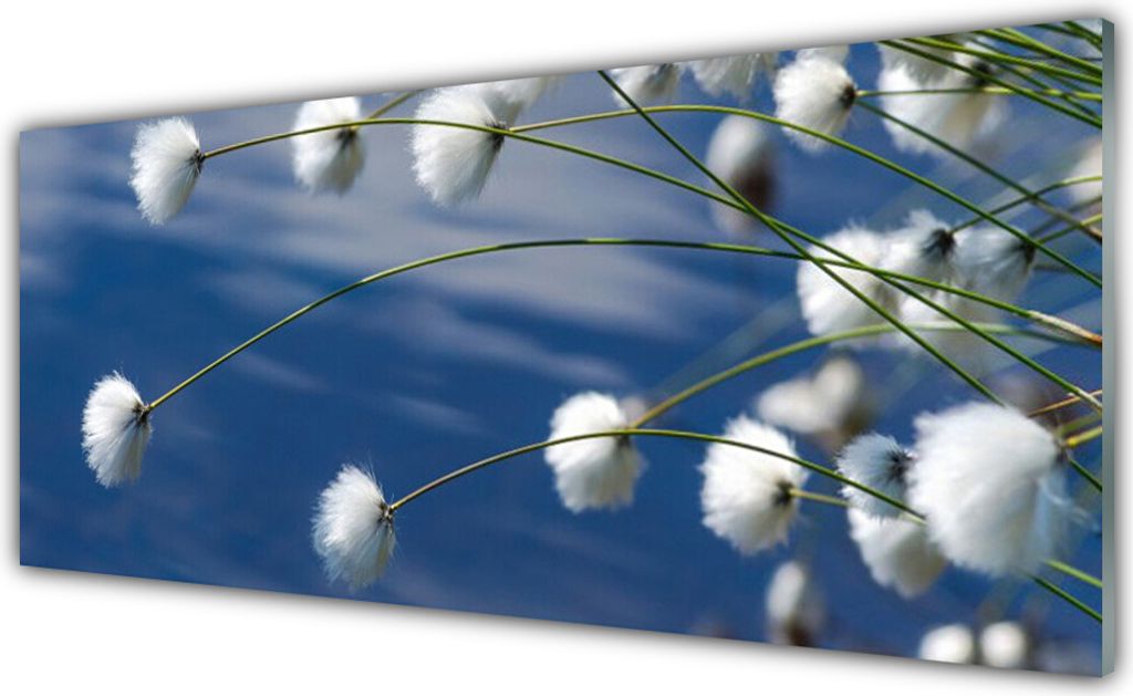 Küchenrückwand aus Glas 125x50cm Spritzschutz Blumen Pflanzen