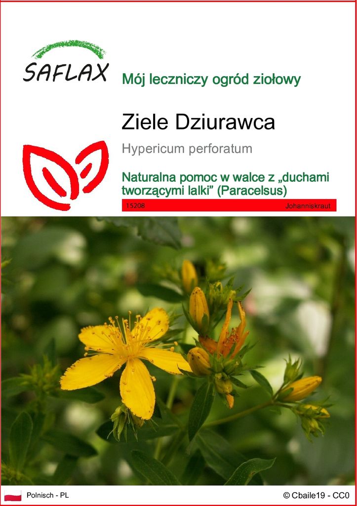 SAFLAX - Ziele Dziurawca - 300 Nasiona - Hypericum Zdjęcie produktu 